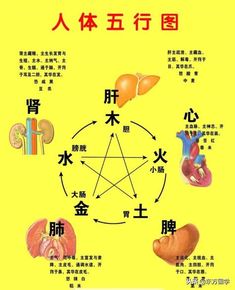 五行相書|中國的古老傳統——相術